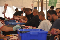 جمعية يافا: افتتاح باب التسجيل لمشروع الأضاحي للعام الثالث عشر على التوالي 